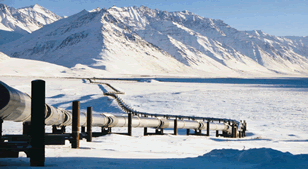 Image result for trans alaska pipeline