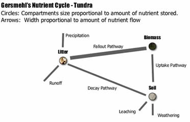 Image result for nutrient cycle tundra