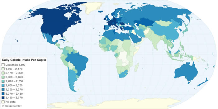 Image result for average daily calorie consumption map